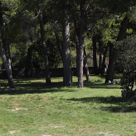 招待所 Double 4309c