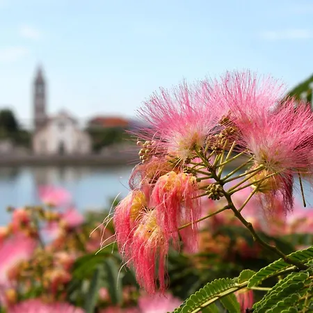 招待所 Double 4309c 3*