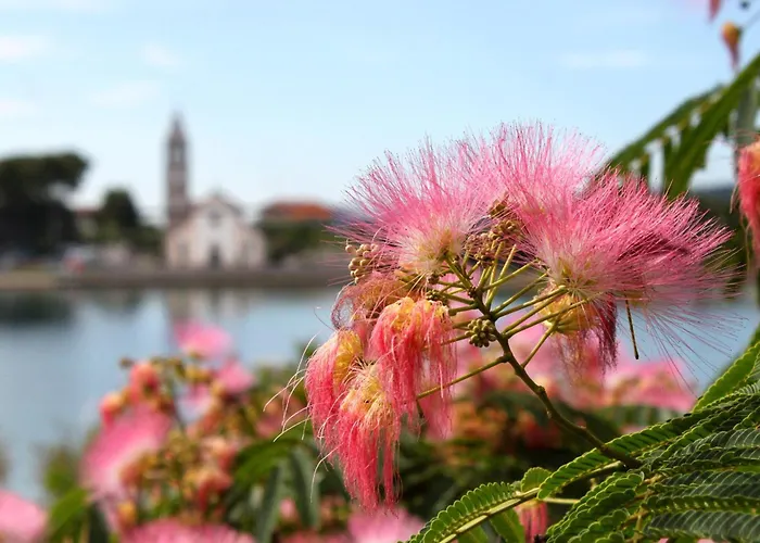 Πανσιόν Double 4309c 3*